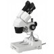 MICROSCOPIO ESTEREOSCOPICO BINOCULAR, 20X Y 40X- AMSCOPE