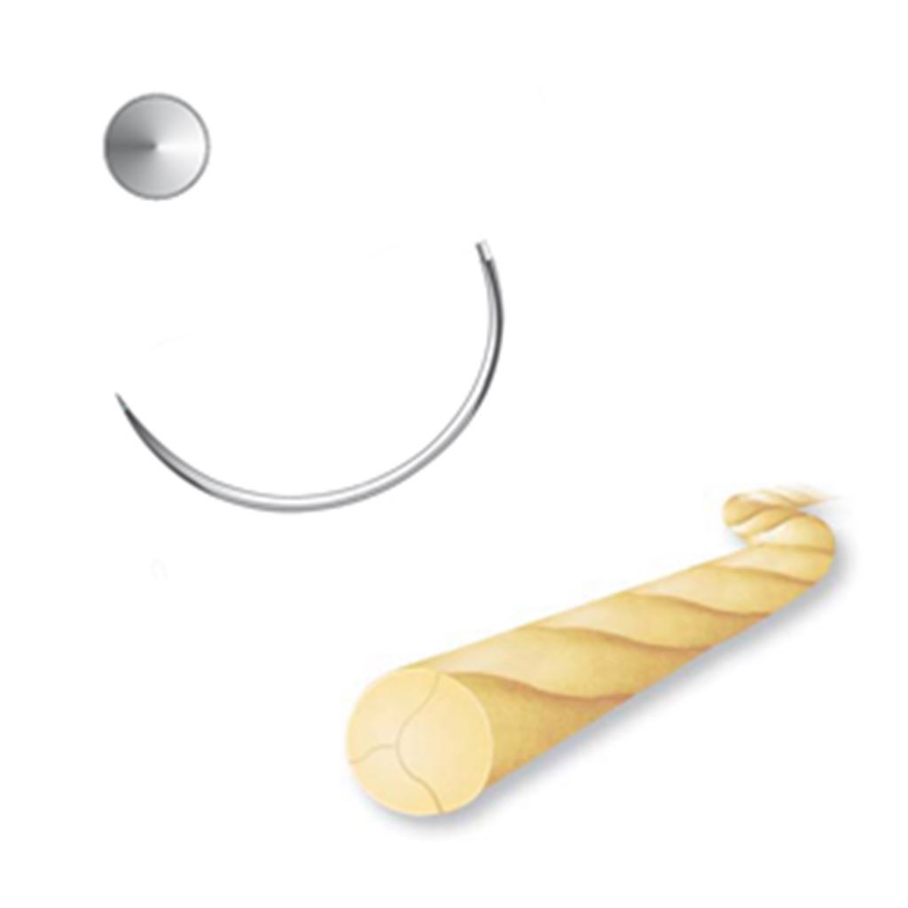 SUTURA CATGUT SIMPLE 2/0 AHUSADA NORMAL